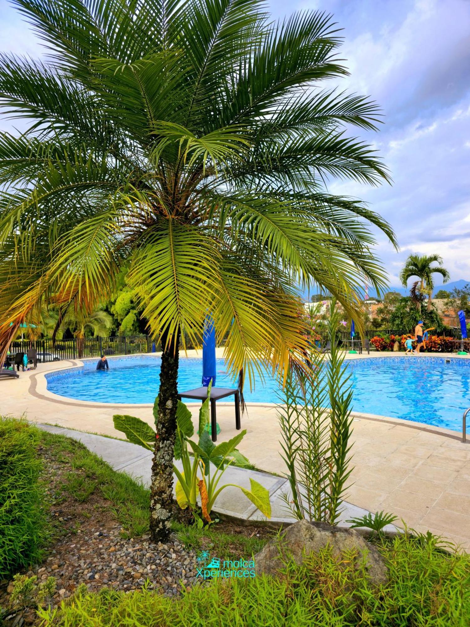Apartamento Privado Vacacional A 5M Del Aeropuerto, 20 Minutos Del Parque Del Cafe Y Centro De Armenia Con 4 Piscinas, 3 Jacuzzi, Sauna By Molca Xperiences 2H Exterior foto